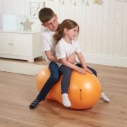 Choosing The Right Peanut Ball