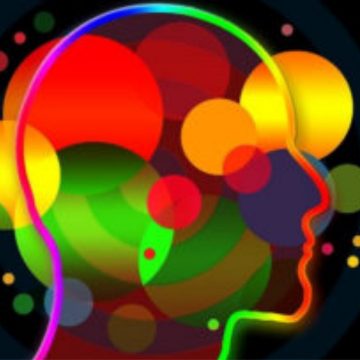 A Brief Guide To Sensory Integration